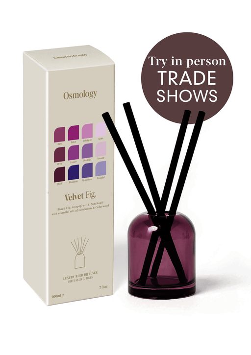 Velvet Fig Reed Diffuser Aery Wholesale 