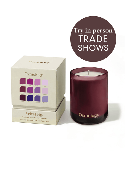 Velvet Fig Scented Candle Aery Wholesale 