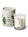 Cream Fig Leaf candle by Aery displayed next to product packaging on white bacground 