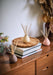 Himalayan Cedarleaf reed diffuser by aery displayed next to Moroccan Rose reed diffuser and Aztec Tuberose reed diffuser by aery placed on wooden side table 