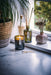 Black Oak Reed Diffuser Botanical Aery Wholesale 