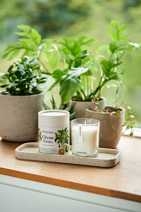 Citrus Tonic Scented Candle Botanical Aery Wholesale 