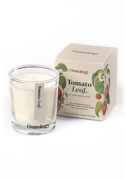 Tomato Leaf Mini Candle Botanical Aery Wholesale 
