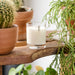 Fig Leaf Scented Candle Botanical Aery Wholesale 