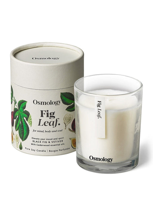 Fig Leaf Scented Candle Botanical Aery Wholesale 