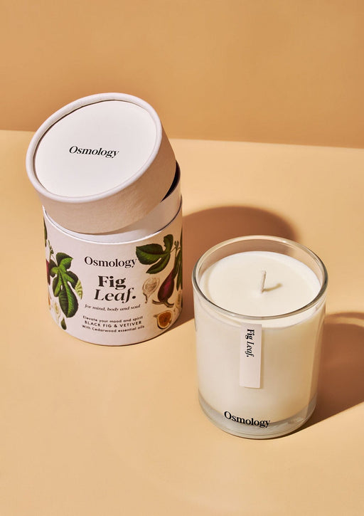 Fig Leaf Scented Candle Botanical Aery Wholesale 