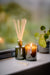 Green Bamboo Reed Diffuser Botanical Aery Wholesale 