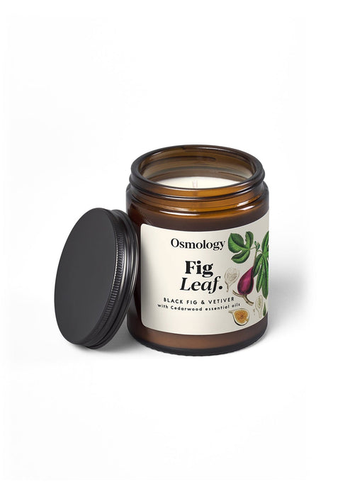 Fig Leaf Scented Jar Candle Botanical Aery Wholesale 