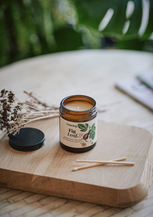 Fig Leaf Scented Jar Candle Botanical Aery Wholesale 