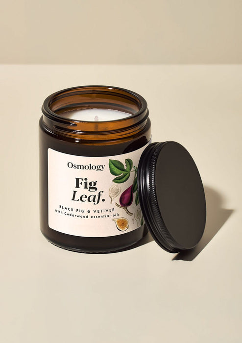 Fig Leaf Scented Jar Candle Botanical Aery Wholesale 