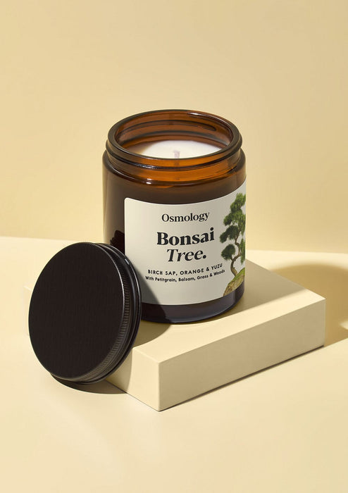 Bonsai Tree Scented Jar Candle Botanical Aery Wholesale 