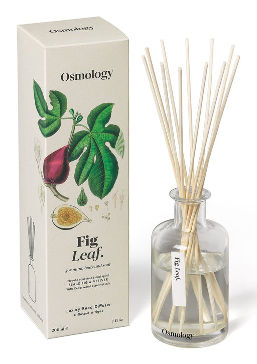 Fig Leaf Reed Diffuser Botanical Aery Wholesale 