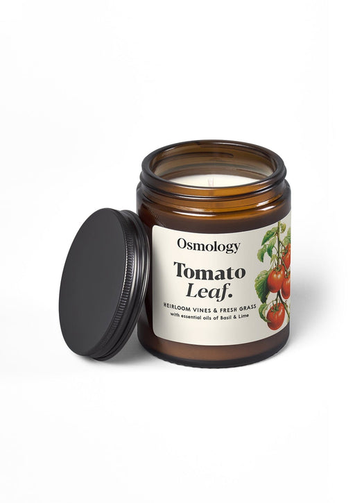 Tomato Leaf Scented Jar Candle Aery Wholesale 