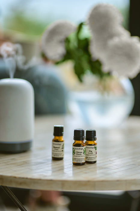 Botanical Fragrance Oil Set Botanical Aery Wholesale 