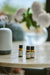 Botanical Fragrance Oil Set Botanical Aery Wholesale 