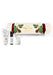 Fig Leaf Wellness Cracker Aery Wholesale 