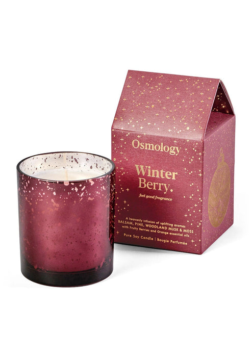 Winter Berry Scented Candle Aery Wholesale 