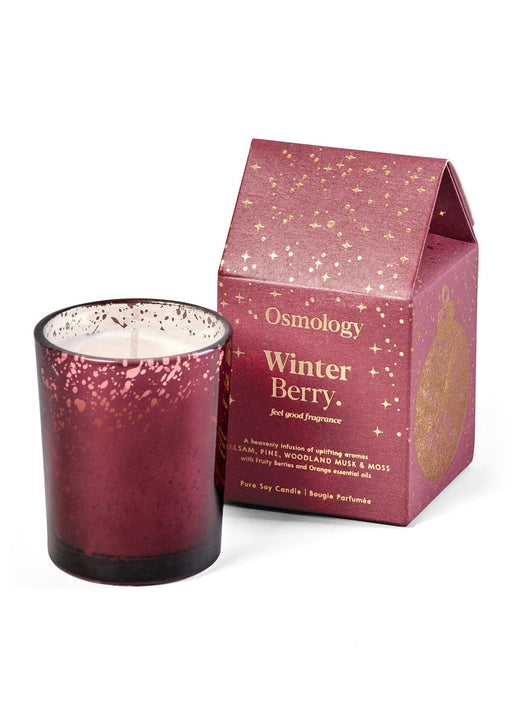Winter Berry Travel Scented Candle Aery Wholesale 