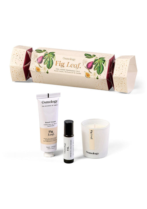 Fig Leaf Wellness Cracker Aery Wholesale 