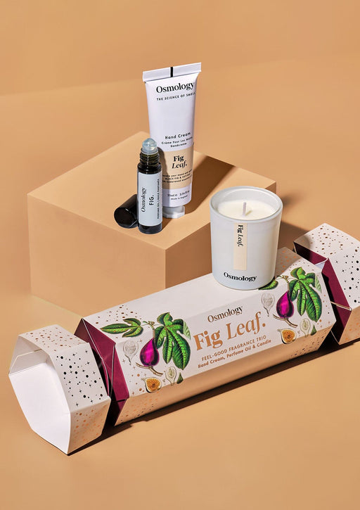 Fig Leaf Wellness Cracker Aery Wholesale 