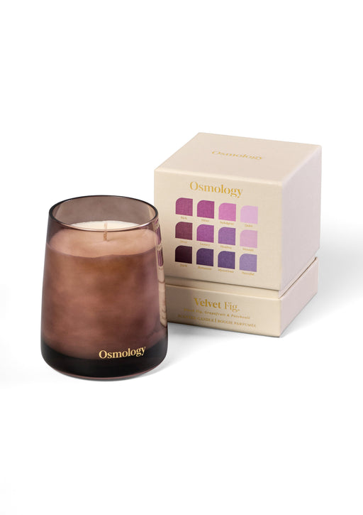 Velvet Fig Scented Candle Aery Wholesale 
